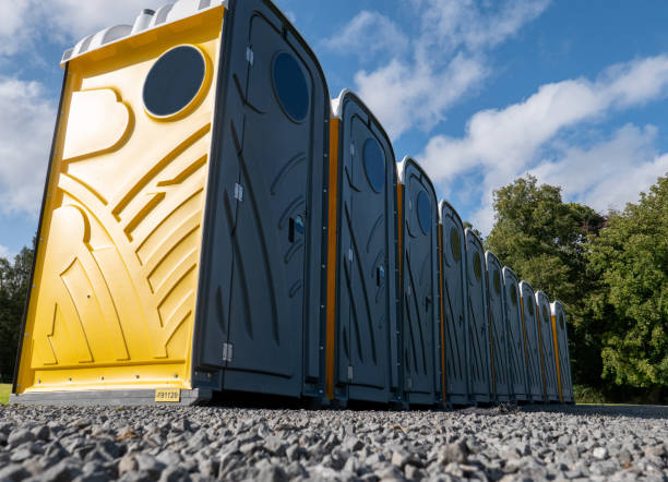 Best Eco-Friendly Portable Toilets  in Allegan, MI