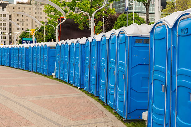 Best Portable Restroom Setup and Delivery  in Allegan, MI